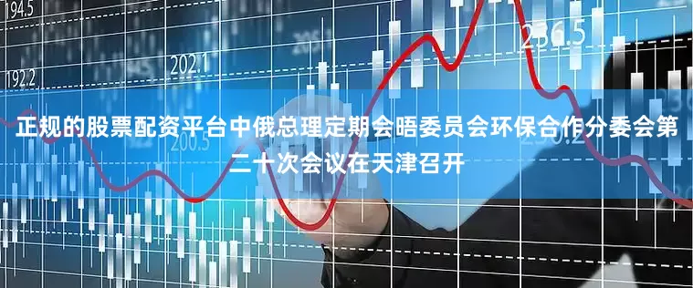 正规的股票配资平台中俄总理定期会晤委员会环保合作分委会第二十次会议在天津召开