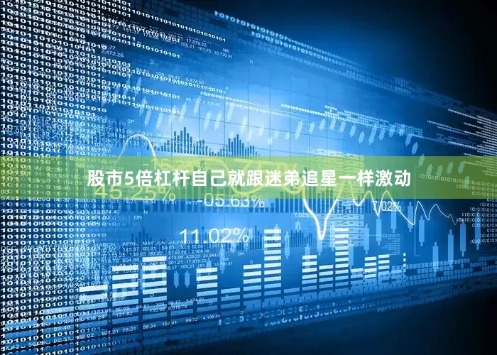 股市5倍杠杆自己就跟迷弟追星一样激动